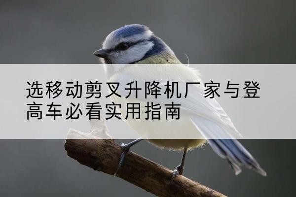 盘州电动升降机厂家-选移动剪叉升降机厂家与登高车必看实用指南