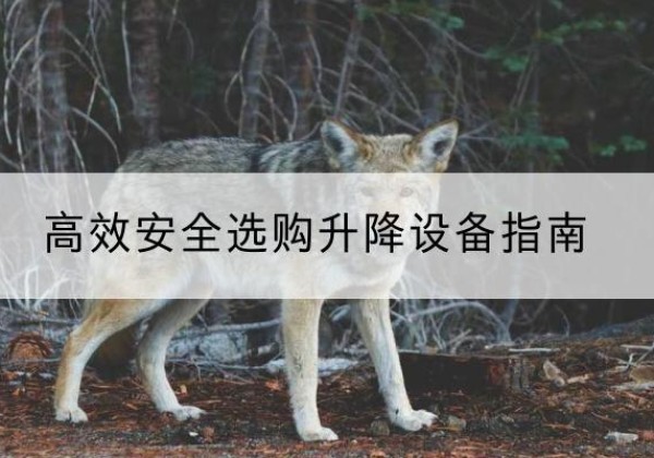 盘州升降货梯厂家推荐-*安全选购升降设备指南