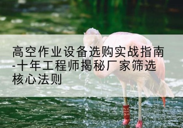 盘州剪叉式升降机厂家-高空作业设备选购实战指南-十年工程师揭秘厂家筛选核心法则